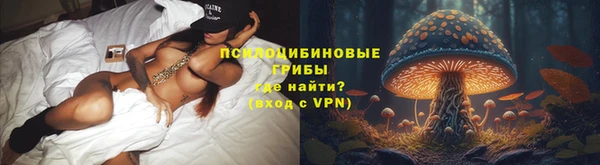 ECSTASY Алзамай