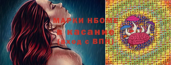 ECSTASY Алзамай