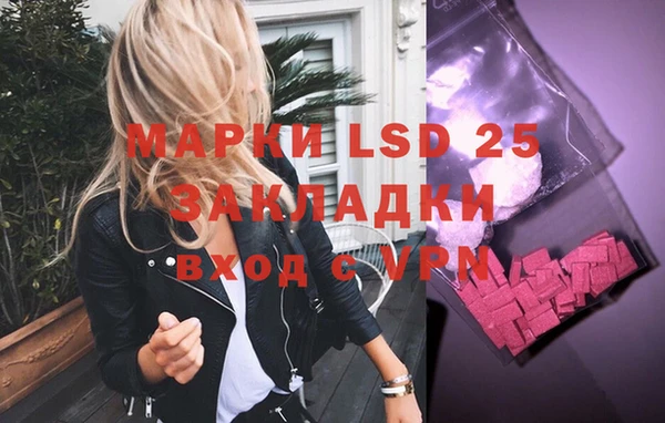 ECSTASY Алзамай